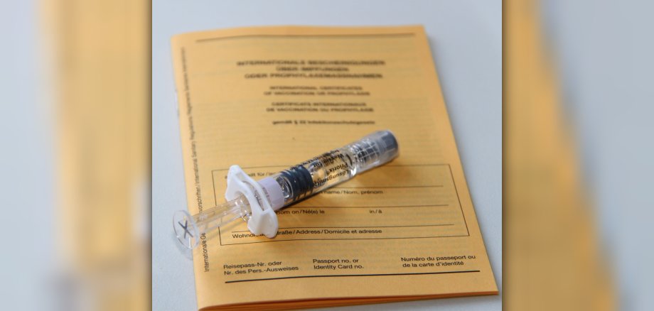 Bild eines Impfpasses