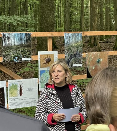 Klimaschutzministerin Katrin Eder weist Nauberg offiziell als Naturschutzgebiet aus